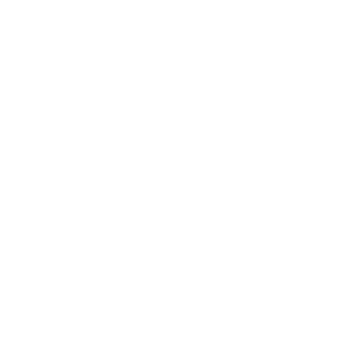 Synthesis Creative Co.